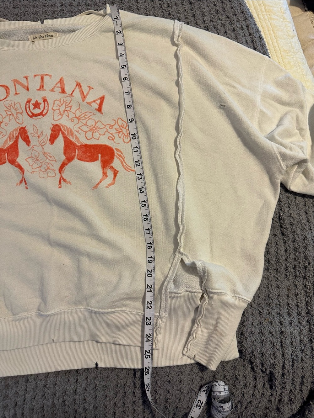 Free People Montana Graphic Sweatshirt Small *Note - Picture 6 of 8
